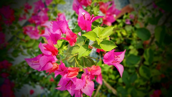 L'Impact des Politiques Gouvernementales sur le Coût du Mètre Carré : Analyse et Perspectives