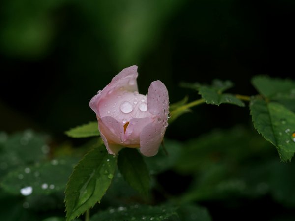 Comment disposer ses meubles de chambre pour favoriser une bonne nuit de sommeil